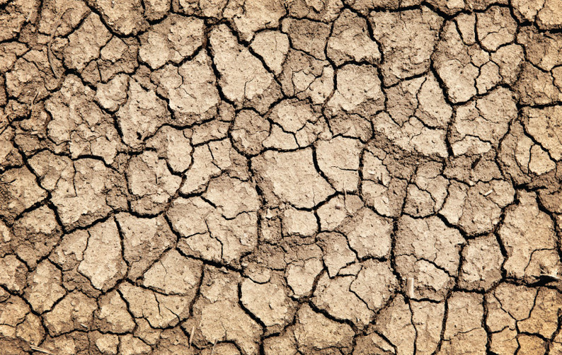 Australian Drought Crisis: What this Means for our Crops