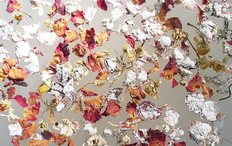 Get to Know Our Essential Oils and How to Use Them 