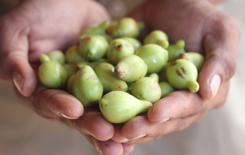 Why Kakadu Plum Is Your New Winter Remedy