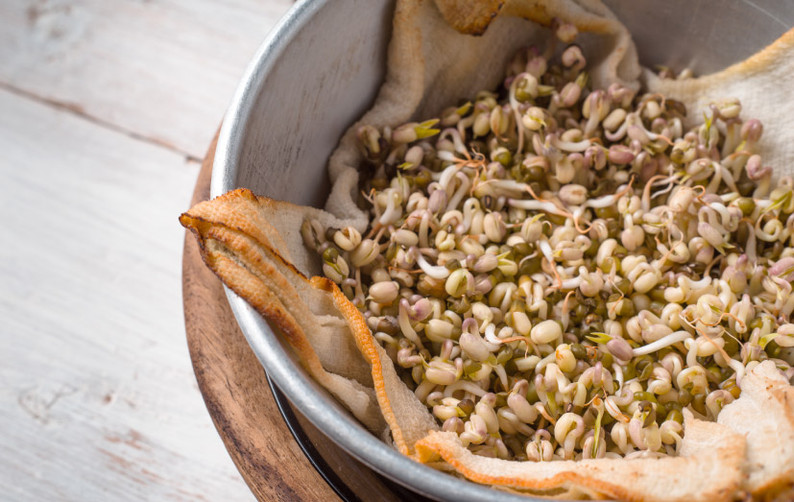 How to Sprout Beans, Lentils and Grains [Quick Guide]