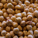 Hazelnuts | 2die4 Hazelnuts | 2die4