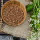 The Seed Files: : Buckwheat