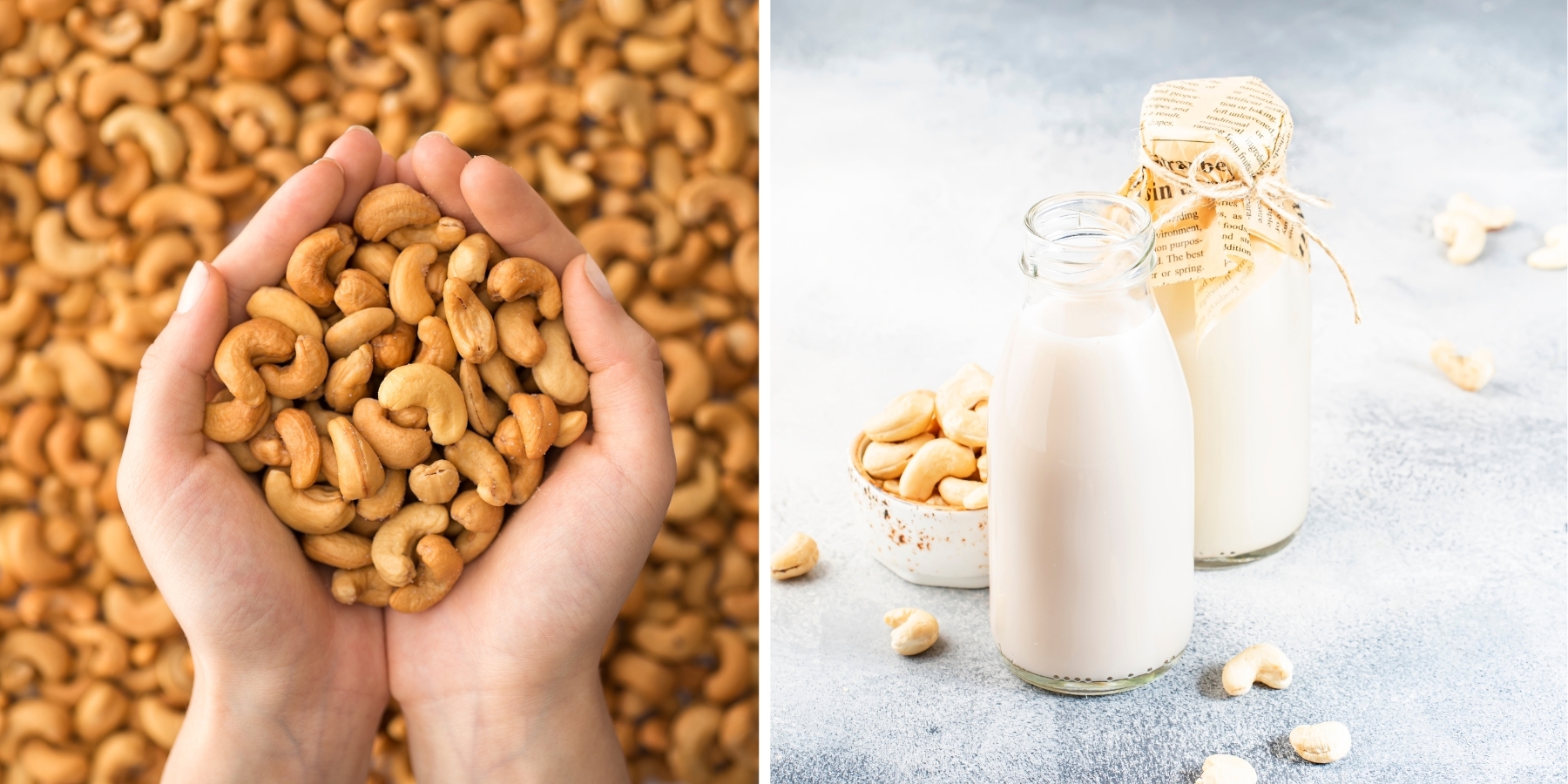 Cashew Recipes