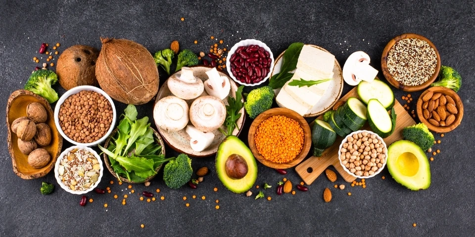 Paleo Diet