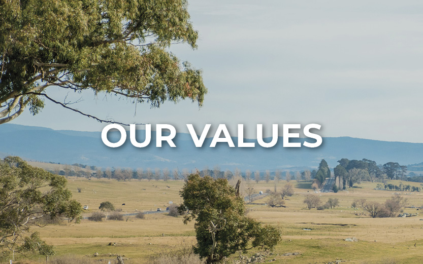 Our Values 