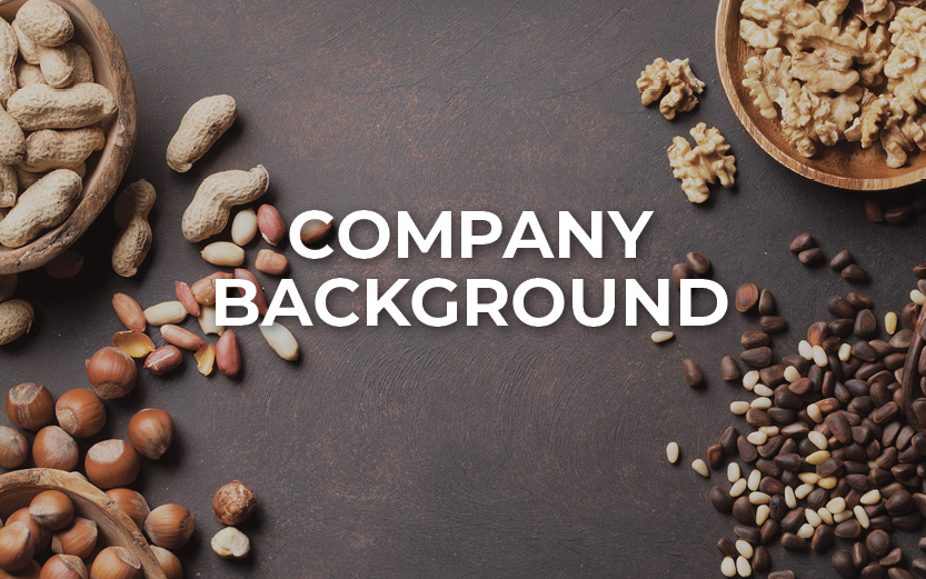  Company Background 