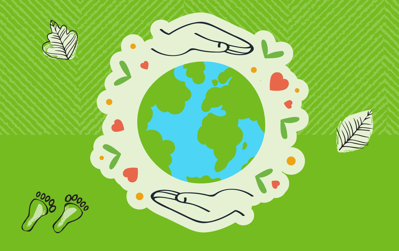 5 THINGS YOU CAN DO TO REDUCE YOUR FOOTPRINT - Honest to Goodness