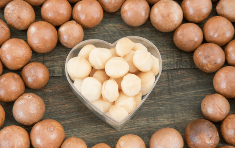 Macadamia Nuts 101 A Guide to Understanding Different Sizes and Their