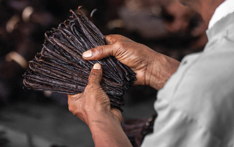 Vanilla Bean, Essence or Extract? Honest to Goodness