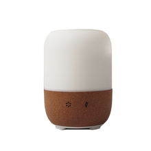 Ultrasonic Essential Oil Diffuser
