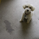 Product feature: Jetclean, a crazy good stain remover!