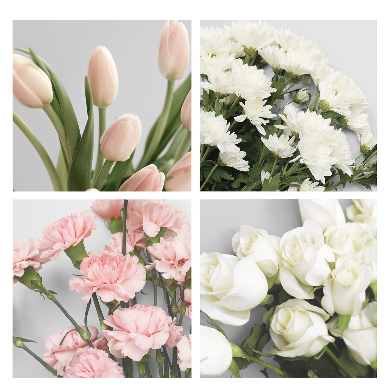 Pink/Green Blooms Lined Pages - Franklin Planner
