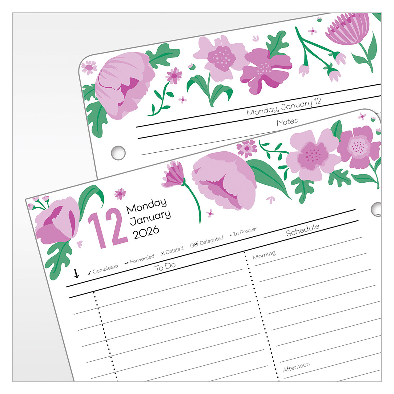 Floraページ Flora: An Artistic Voyage Through the World of Plants 2016: Knapp