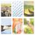 Leadership Two Page Per Day Ring-bound Planner