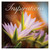 Inspirations 2027 Mini Wall Calendar