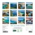 Ocean View 2027 Mini Wall Calendar