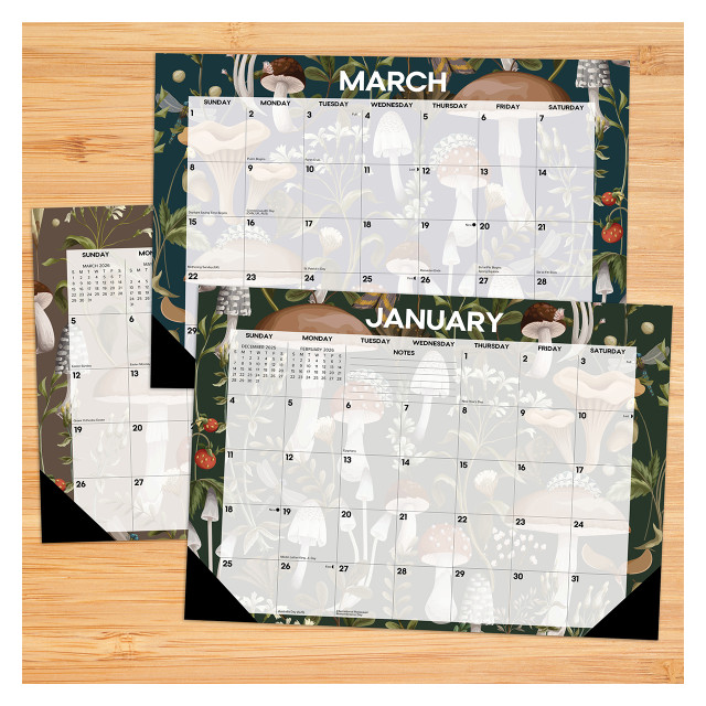 Woodland Mushroom 2026 17" x 12" Small Monthly Deskpad