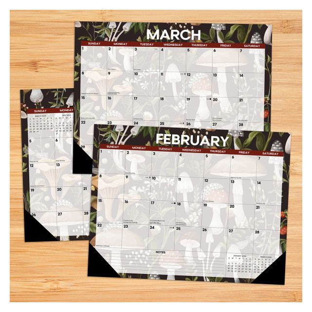 Mushrooms 2026 22" x 17" Large Monthly Deskpad