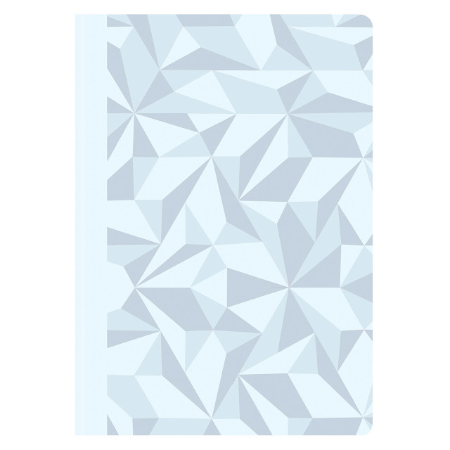 LPs - Notetaking - Notebooks - Franklin Planner