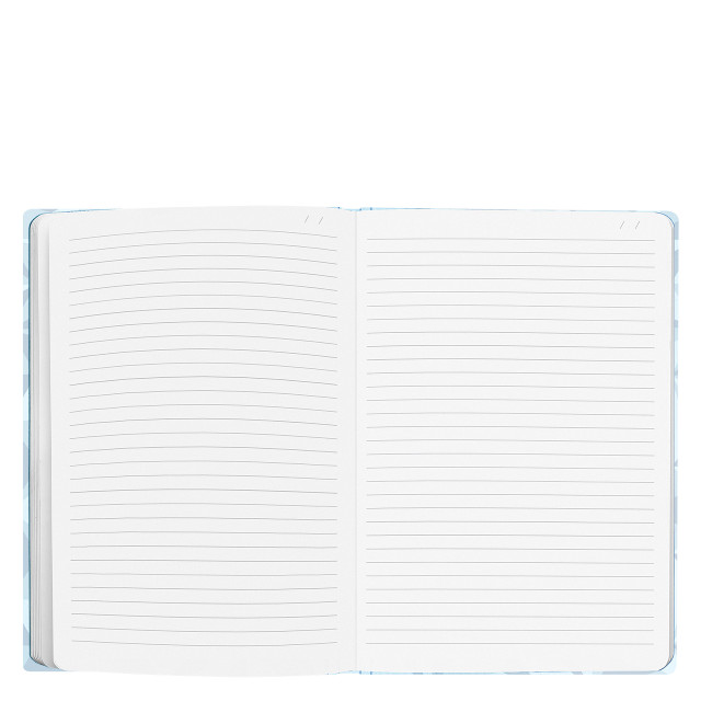 LPs - Notetaking - Notebooks - Franklin Planner