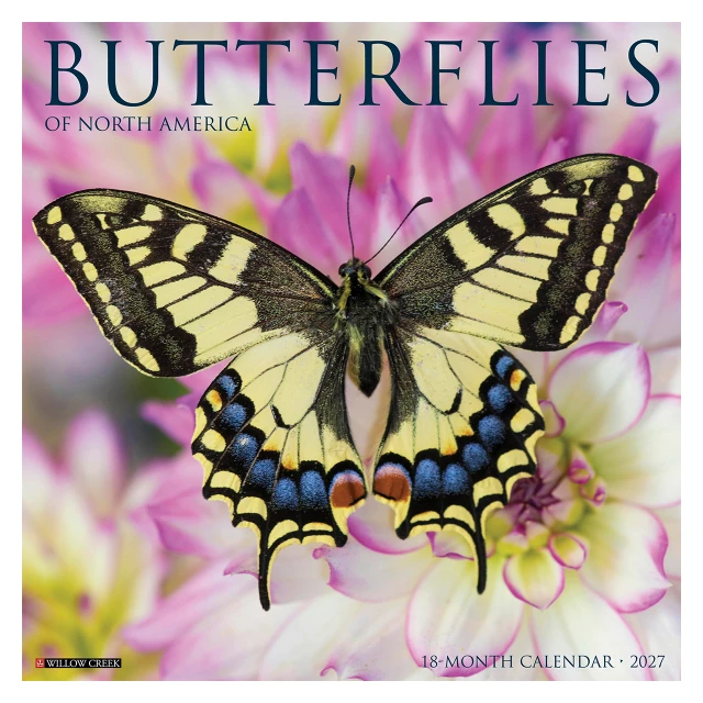 Butterflies of North America 2027 Wall Calendar