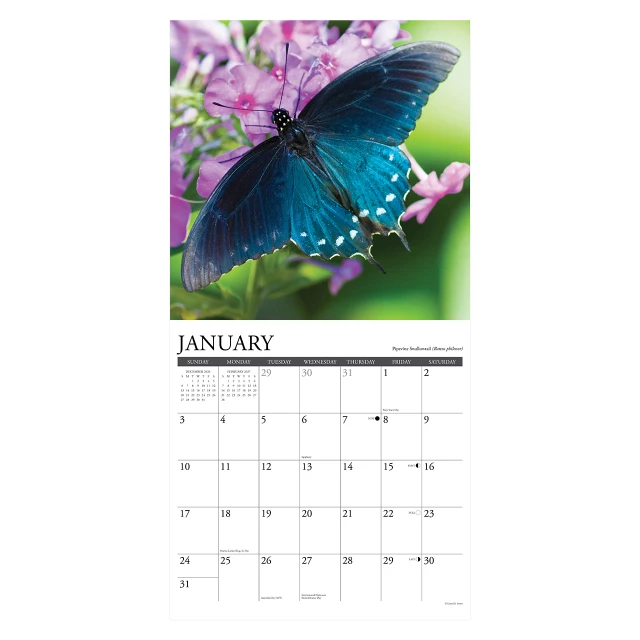 Butterflies of North America 2027 Wall Calendar