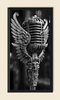 Voice Of The Sovereign