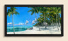 Paradise Found