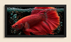 Crimson Elegance I