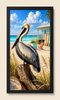 Pelican Paradise II