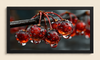 Crimson Dew