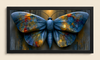 Midnight Butterfly