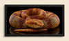 Copper Viper