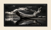 SILENT ENDURANCE V