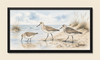 SHORELINE TRIO
