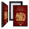 MINI36064 European Union Passport, Framed UV Poster Board