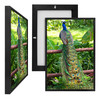 MINI70012 Peacock Fence, Framed UV Poster Board