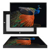 MINI70077 Peacock, Framed UV Poster Board
