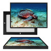 MINI50074 Sea Turtle, Framed UV Poster Board