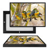 MINI70158 Red-Billed Leiothrix Birds, Framed UV Poster Board