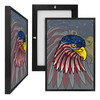 MINI17140 American Eagle, Framed UV Poster Board