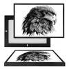 MINI70268 B&W Eagle Illustration, Framed UV Poster Board