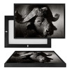MINI35099 B&W Buffalo, Framed UV Poster Board