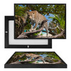 MINI35133 Leopard, Framed UV Poster Board
