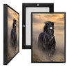 MINI66125 Black Stallion, Framed UV Poster Board