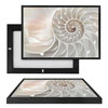 MINI19044 Seashell Spiral, Framed UV Poster Board