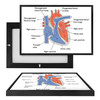 MINI98016 Oxygen in the Heart, Framed UV Poster Board