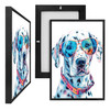 MINI73570A Dalmation, Framed UV Poster Board
