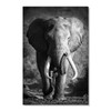 35058 Elephant Walking, Acrylic Glass Art