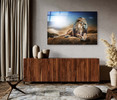 35284 Lion Portrait, Acrylic Glass Art